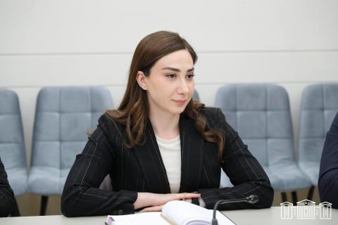 Депутат Мэри Галстян отправится в командировку в Рио-де-Жанейро