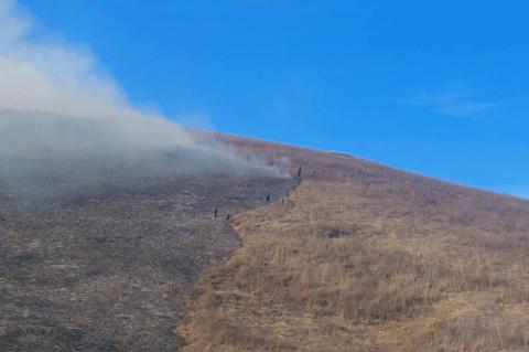 В лесных массивах Дилижана продолжаются работы по тушению пожара