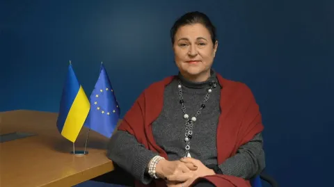 Ուկրաինայում ԵՄ դեսպանը կոչ է արել Բրյուսելին օգտագործել սառեցված ռուսական ակտիվները