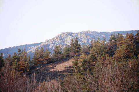 Հրդեհների բոլոր օջախները մարվել են. ՆԳՆ-ն հորդորում է պահպանել հրդեհային անվտանգության կանոնները