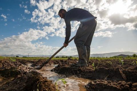 Водный комитет предлагает в некоторых случаях поставлять поливную воду бесплатно
