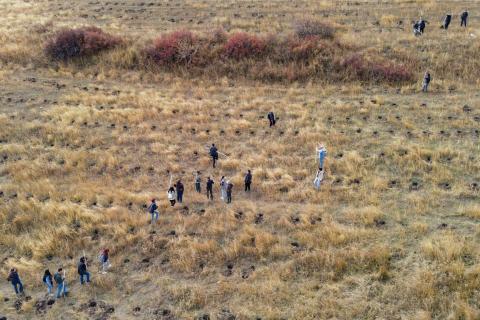 Ծառատունկ՝ հանուն Հայաստանի