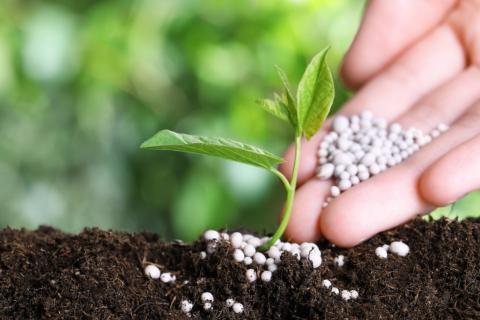 ЕЭК на два года обнулила таможенные пошлины на импорт фосфатов для производства удобрений