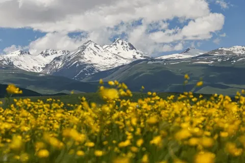 Армения примет участие в международной туристической выставке FITUR 2026
