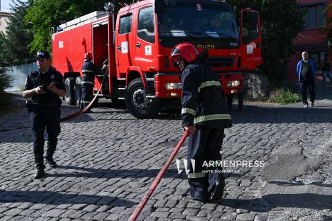 Пожар, вспыхнувший на территории питомникового хозяйства и «Центра ухода за животными», потушен