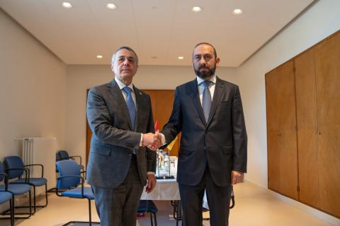 2026 год станет важным для армяно-швейцарских отношений, — министр иностранных дел Швейцарии