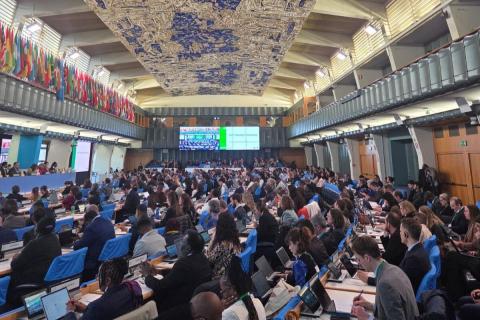 На встрече в Риме обсудили программные документы предстоящей COP17 в Армении